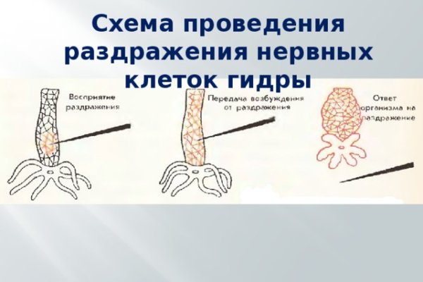 Кракен сайт войти