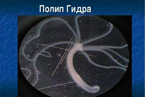 Кракен макет даркнет только через тор