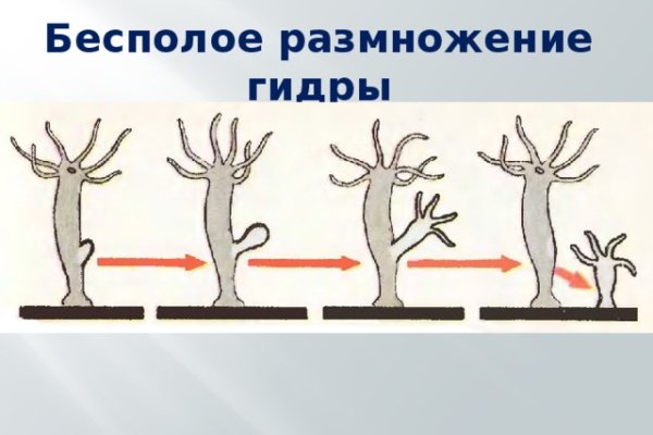 Кракен новое зеркало