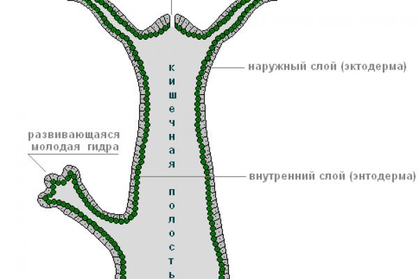 Kraken даркнет gigageek ru