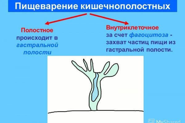 Сайт мега кракен
