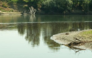 Кракен активная ссылка