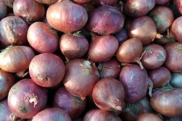 Восстановить аккаунт на кракене