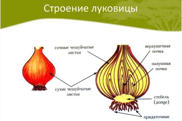 Кракен наркоторговец