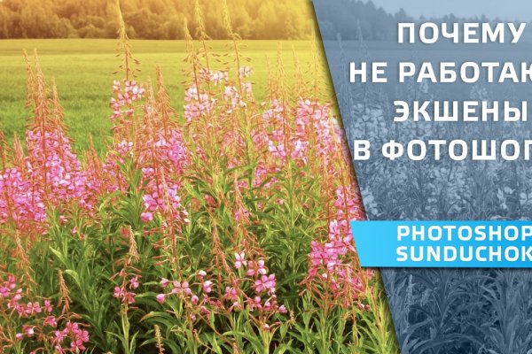 Мега зеркала тор онион мориарти кракен