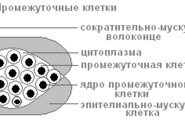Kraken сайт tor