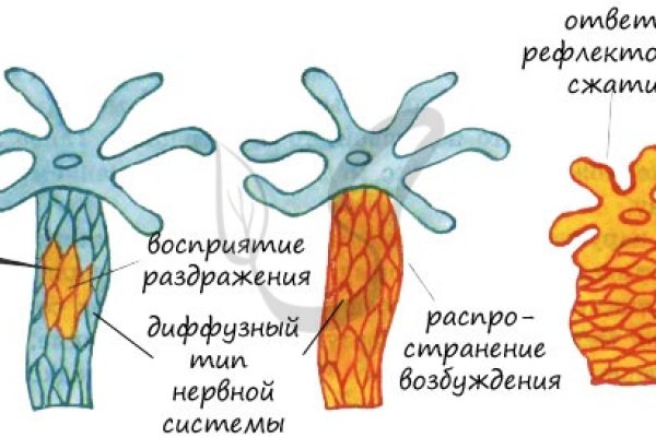 Ссылки на даркнет