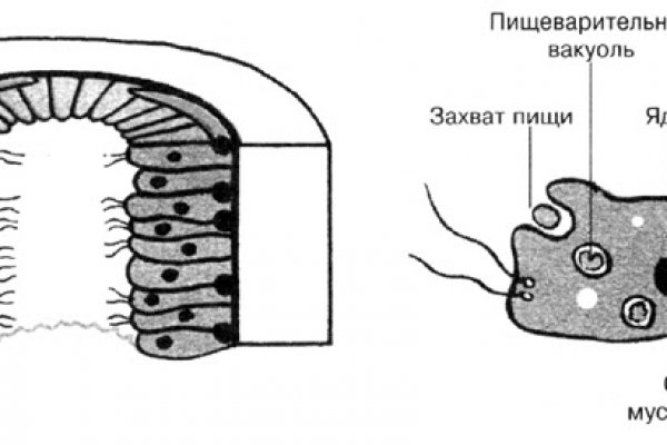 Рабочая ссылка кракен в тор