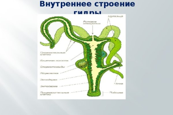 Кракен маркет даркнет слушать