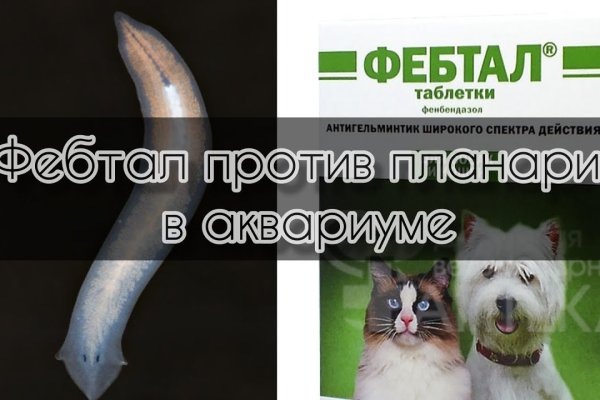 Сайт кракен официальный ссылка onion